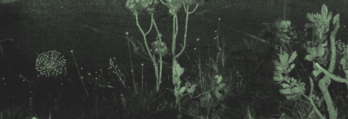 header-about